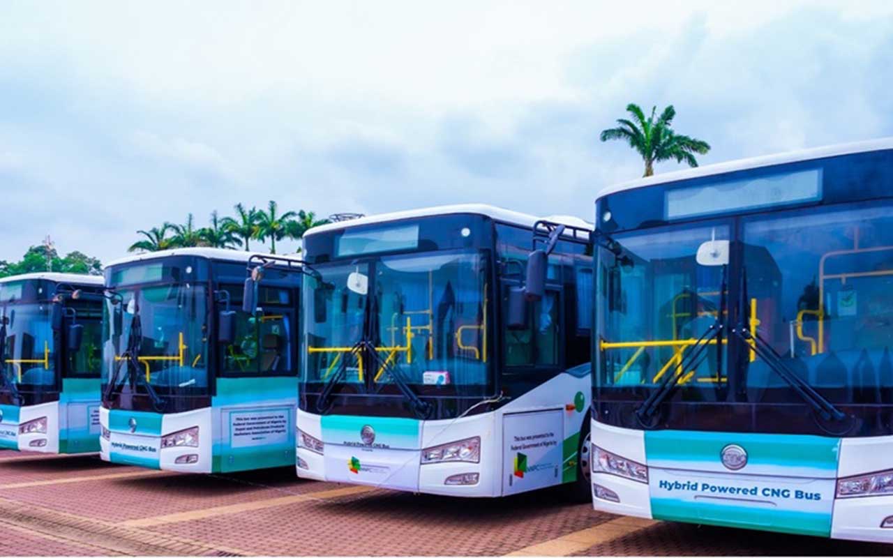 cng bus
